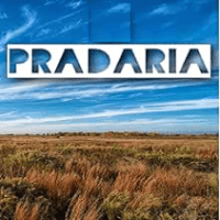 pradaria.com.br